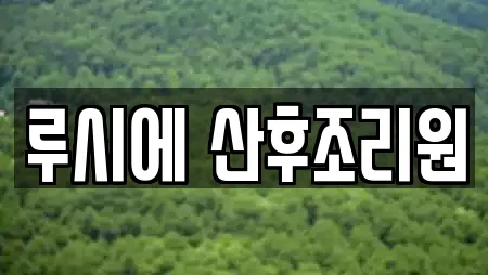 루시에 산후조리원