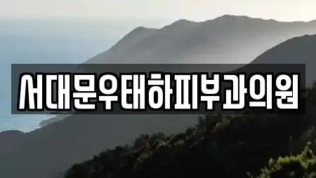 서대문우태하피부과의원