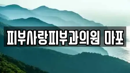 피부사랑피부과의원 마포