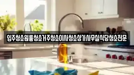 입주청소원룸청소거주청소이사청소상가사무실식당청소전문