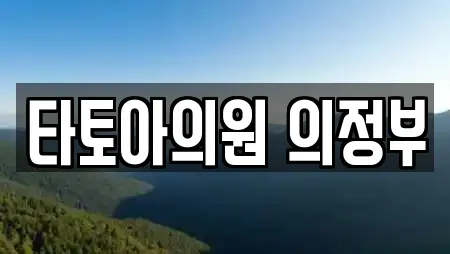 타토아의원 의정부