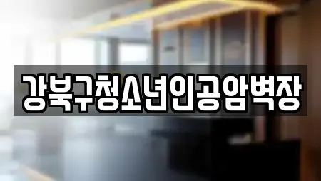 강북구청소년인공암벽장