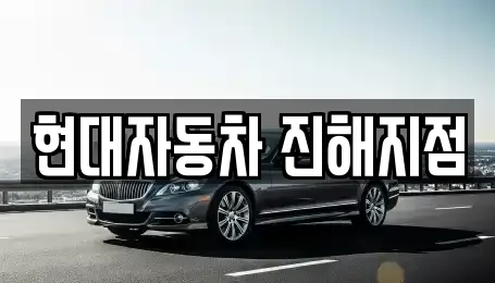 창원 덕산동 자동차전시장 견적 비교 11곳