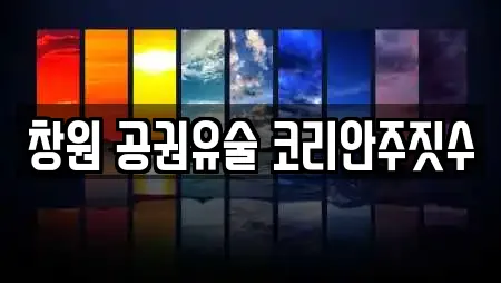 창원 공권유술 코리안주짓수