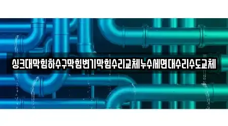 싱크대막힘하수구막힘변기막힘수리교체누수세면대수리수도교체