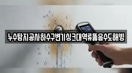 누수탐지공사하수구변기싱크대역류뚫음수도해빙