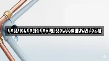 누수탐지수도누수천장누수주택마당수도누수설비보일러누수공사