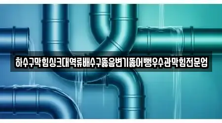 하수구막힘싱크대역류배수구뚫음변기뚫어뻥우수관막힘전문업