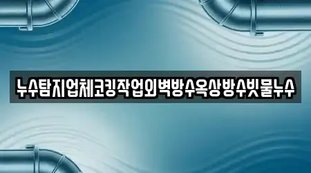 누수탐지업체코킹작업외벽방수옥상방수빗물누수