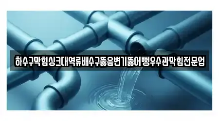 하수구막힘싱크대역류배수구뚫음변기뚫어뻥우수관막힘전문업