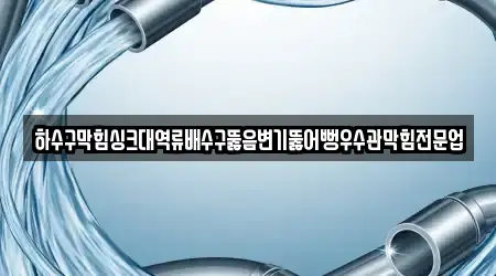 하수구막힘싱크대역류배수구뚫음변기뚫어뻥우수관막힘전문업