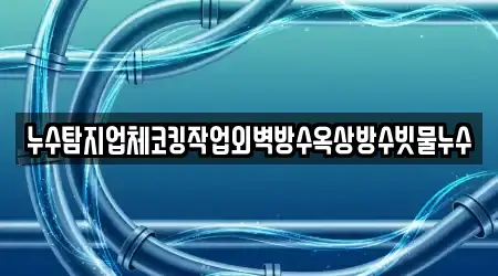 누수탐지업체코킹작업외벽방수옥상방수빗물누수