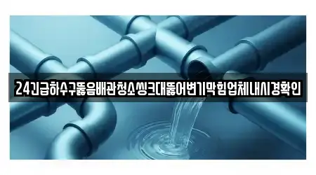 24긴급하수구뚫음배관청소씽크대뚫어변기막힘업체내시경확인