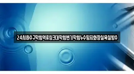 24시하수구막힘역류싱크대막힘변기막힘누수탐지화장실욕실방수