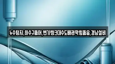 누수탐지,하수구뚫어,변기씽크대수도배관막힘뚫음,경남설비