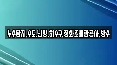 누수탐지,수도,난방,하수구,정화조배관공사,방수