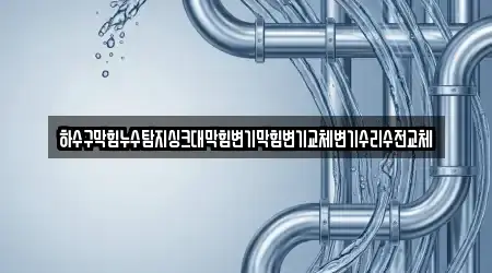 하수구막힘누수탐지싱크대막힘변기막힘변기교체변기수리수전교체