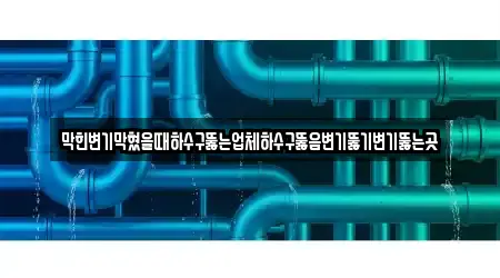 막힌변기막혔을때하수구뚫는업체하수구뚫음변기뚫기변기뚫는곳