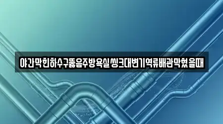 야간막힌하수구뚫음주방욕실씽크대변기역류배관막혔을때