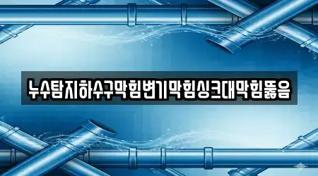 누수탐지하수구막힘변기막힘싱크대막힘뚫음