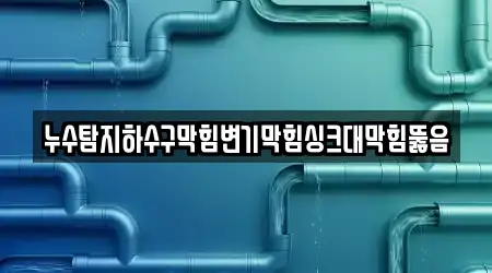 누수탐지하수구막힘변기막힘싱크대막힘뚫음