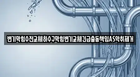 변기막힘수전교체하수구막힘변기교체긴급출동책임AS악취제거
