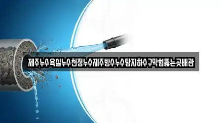 제주누수욕실누수천정누수제주방수누수탐지하수구막힘뚫는곳배관