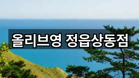 추천 전북 정읍시 상동 메이크업 5곳 바로가기