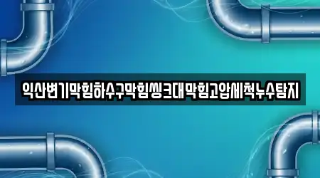 익산변기막힘하수구막힘씽크대막힘고압세척누수탐지