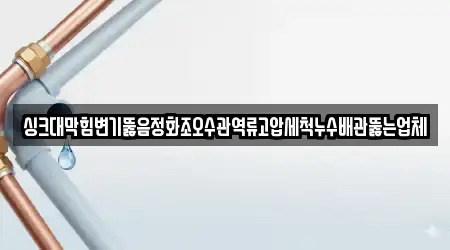 싱크대막힘변기뚫음정화조오수관역류고압세척누수배관뚫는업체