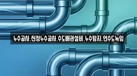 누수공사.천정누수공사.수도배관설비.누수탐지.언수도녹임