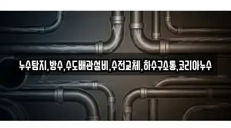 누수탐지,방수,수도배관설비,수전교체,하수구소통,코리아누수