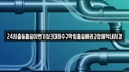 24시출동뚫음이변기싱크대하수구막힘뚫음배관고압세척내시경