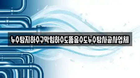 누수탐지하수구막힘하수도뚫음수도누수탐사공사업체