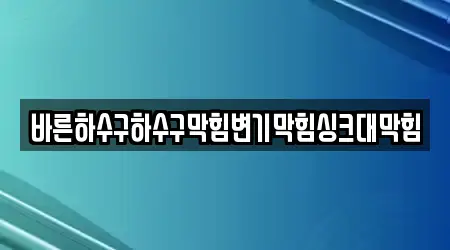 바른하수구하수구막힘변기막힘싱크대막힘
