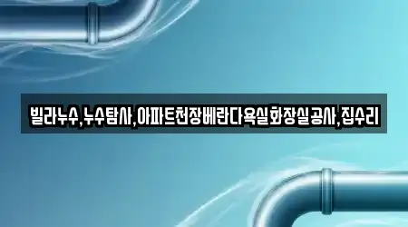 빌라누수,누수탐사,아파트천장베란다욕실화장실공사,집수리