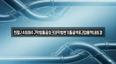 친절24시하수구막힘뚫음싱크대막힘변기뚫음역류고압세척내시경