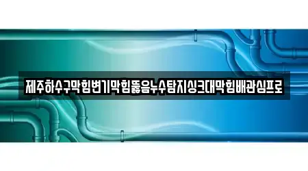 제주하수구막힘변기막힘뚫음누수탐지싱크대막힘배관심프로