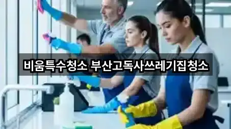 부산 문현동 청소 5곳 위치 링크 부산 문현동 청소 5곳 위치 링크