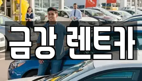 경기 수원시 팔달구 남수동 렌트카 전문 금강 렌트카