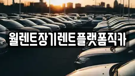 경기 수원시 팔달구 남수동 장기렌트카 전문 월렌트장기렌트플랫폼직카