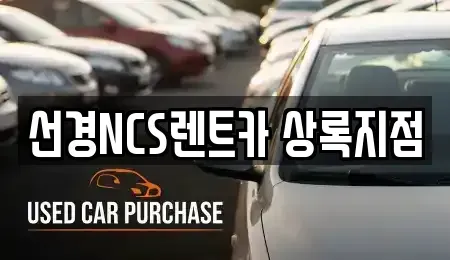 경기 안산시 단기렌트카 전문 선경NCS렌트카 상록지점