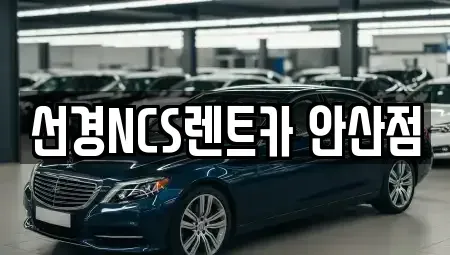경기 안산시 렌트카 전문 선경NCS렌트카 안산점