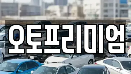 경기 안산시 렌트카 전문 오토프리미엄
