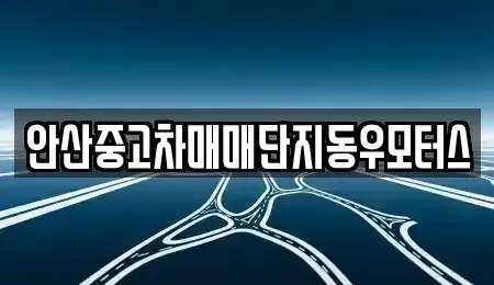 경기 안산시 중고차 전문 안산중고차매매단지동우모터스