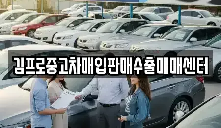 경기도 의왕시 포일동 중고차 전문 김프로중고차매입판매수출매매센터