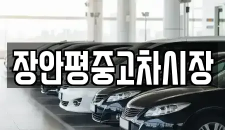 경기도 의왕시 포일동 중고차 전문 장안평중고차시장