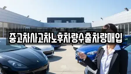 경기도 의왕시 포일동 중고차 전문 중고차사고차노후차량수출차량매입