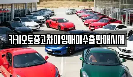 경기도 의왕시 포일동 중고차매입 전문 카카오토중고차매입매매수출판매시세