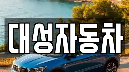 경남 거제시 수월동 중고차매매 전문 대성자동차